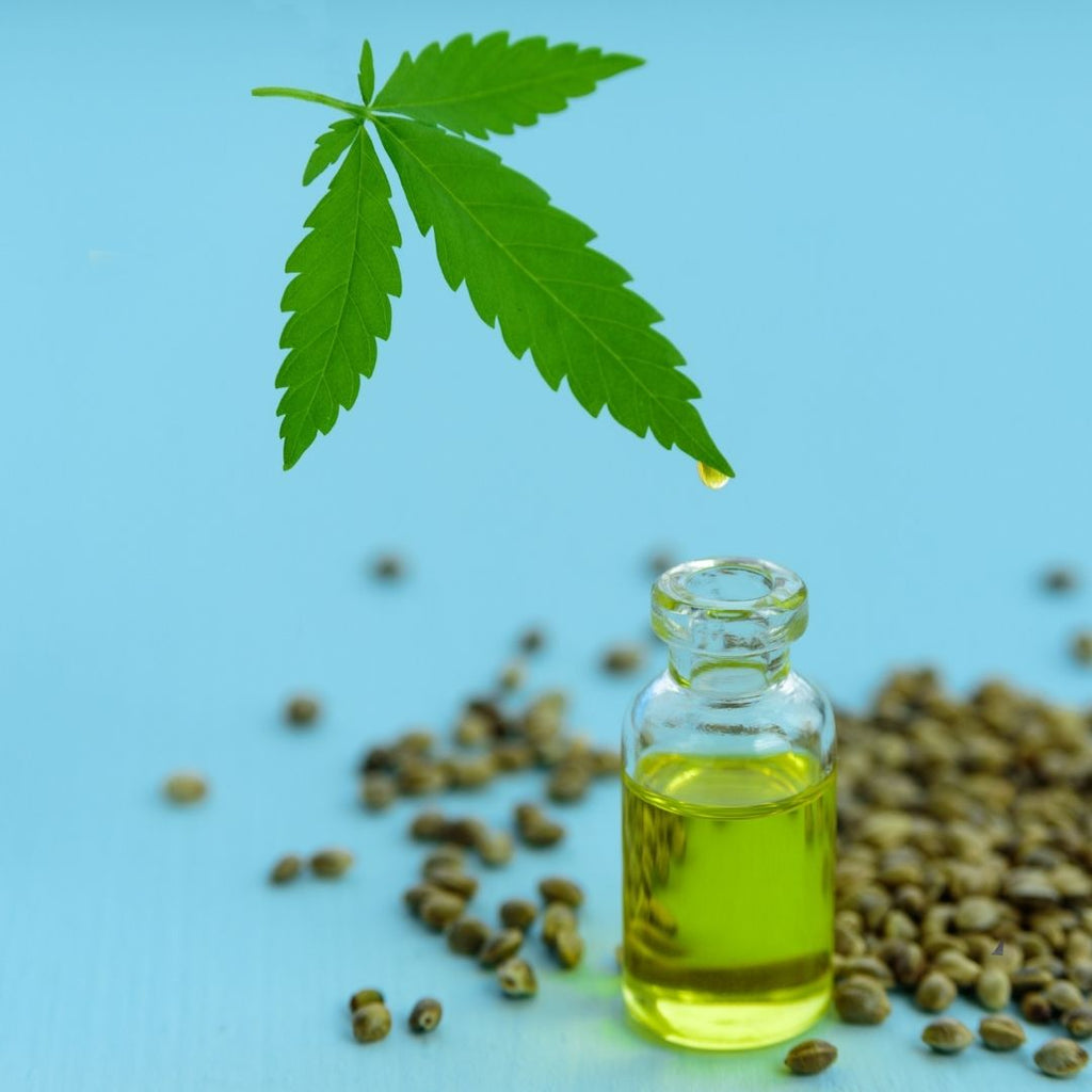 What is Hemp and what are the benefits of Hemp Seed Oil for skin?